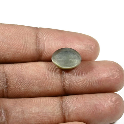 Quartz Cat's Eye (Lehsunia) Carat 7.96