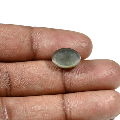 Quartz Cat's Eye (Lehsunia) Carat 7.26