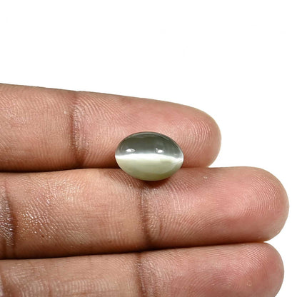 Quartz Cat's Eye (Lehsunia) Carat 6.43