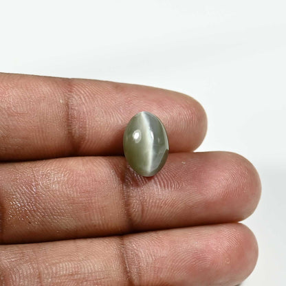 Quartz Cat's Eye (Lehsunia) Carat 6.43
