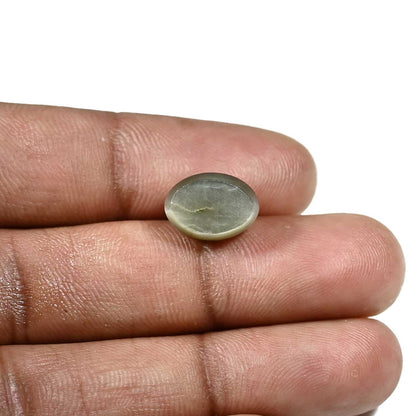 Quartz Cat's Eye (Lehsunia) Carat 6.43