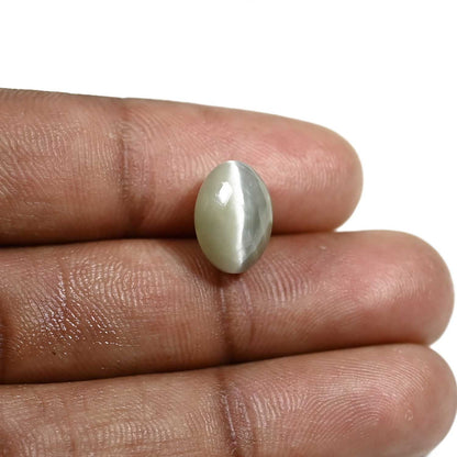 Quartz Cat's Eye (Lehsunia) Carat 5.84