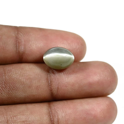 Quartz Cat's Eye (Lehsunia) Carat 6.49