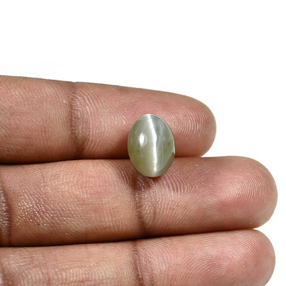 Quartz Cat's Eye (Lehsunia) Carat 6.99