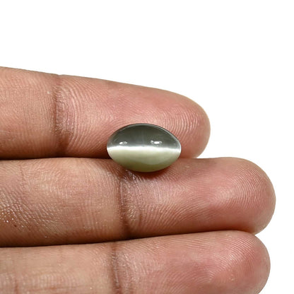 Quartz Cat's Eye (Lehsunia) Carat 5.98