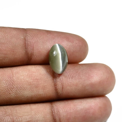 Quartz Cat's Eye (Lehsunia) Carat 5.44