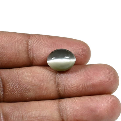 Quartz Cat's Eye (Lehsunia) Carat 5.65
