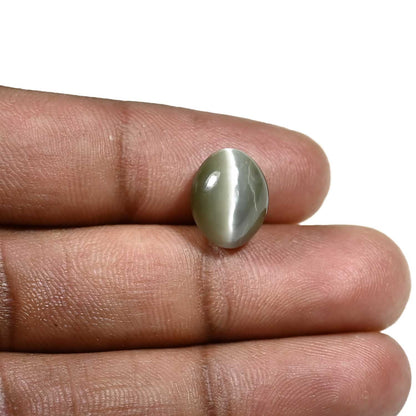 Quartz Cat's Eye (Lehsunia) Carat 5.65