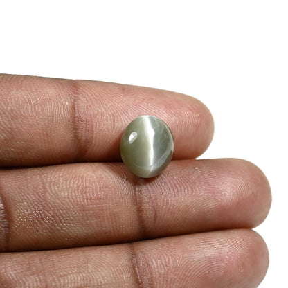 Quartz Cat's Eye (Lehsunia) Carat 6.34