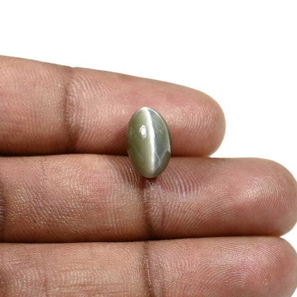 Quartz Cat's Eye (Lehsunia) Carat 5.58