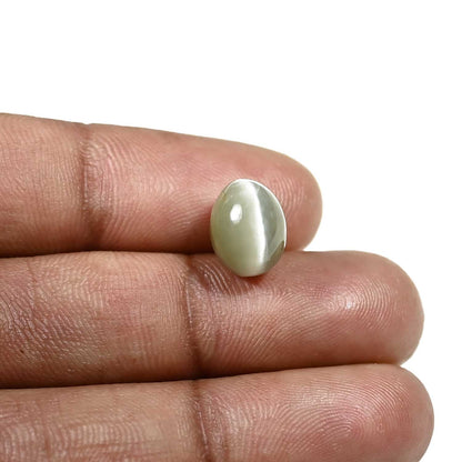 Quartz Cat's Eye (Lehsunia) Carat 6.03