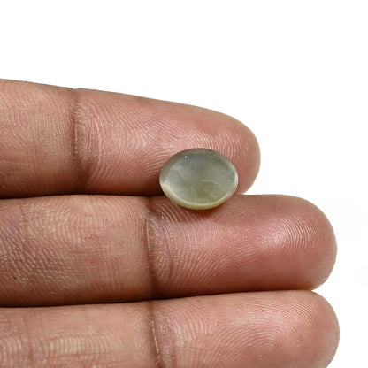 Quartz Cat's Eye (Lehsunia) Carat 6.03