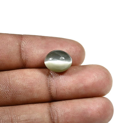 Quartz Cat's Eye (Lehsunia) Carat 6.3