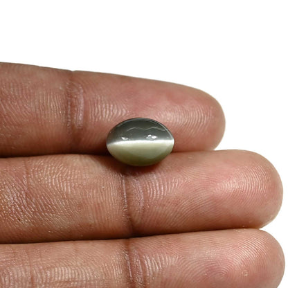 Quartz Cat's Eye (Lehsunia) Carat 5.64