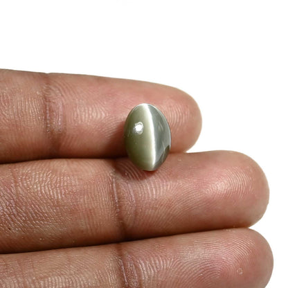 Quartz Cat's Eye (Lehsunia) Carat 5.64