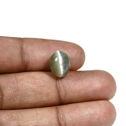 Quartz Cat's Eye (Lehsunia) Carat 6.01