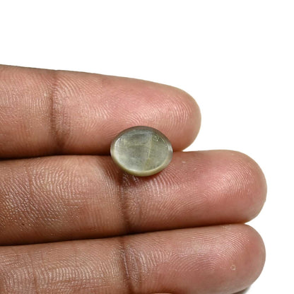 Quartz Cat's Eye (Lehsunia) Carat 6.01