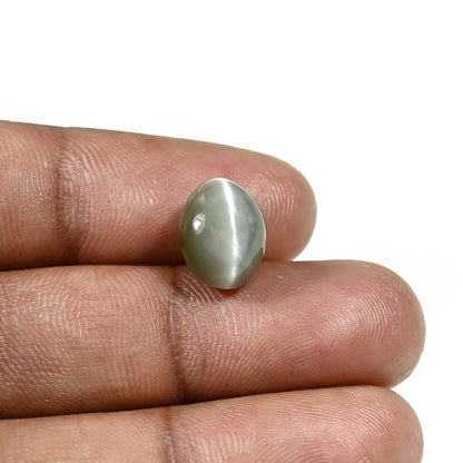 Quartz Cat's Eye (Lehsunia) Carat 6.1