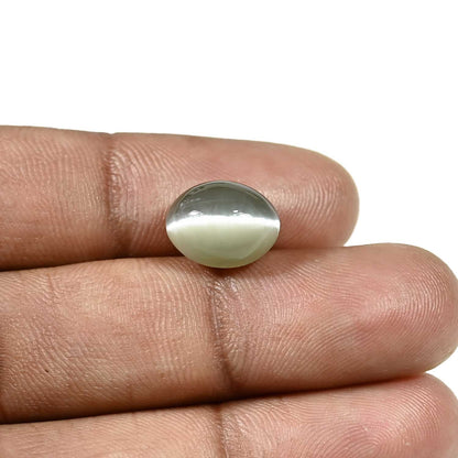 Quartz Cat's Eye (Lehsunia) Carat 6.34