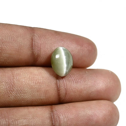 Quartz Cat's Eye (Lehsunia) Carat 5.35