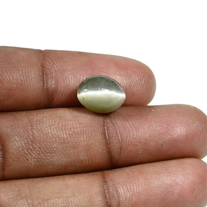 Quartz Cat's Eye (Lehsunia) Carat 5.35