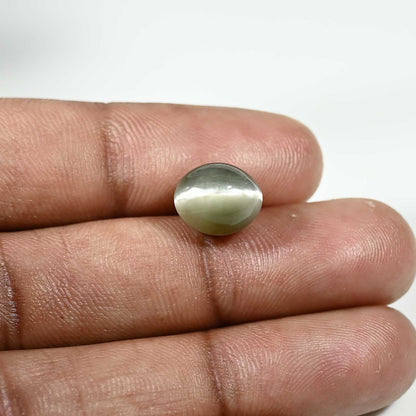 Quartz Cat's Eye (Lehsunia) Carat 5.82