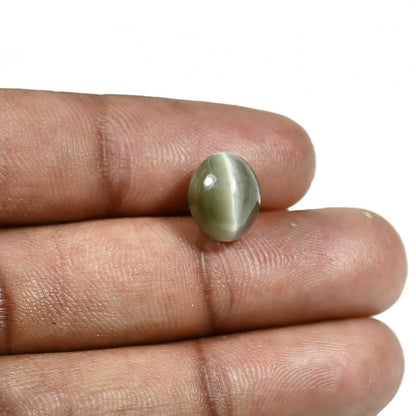 Quartz Cat's Eye (Lehsunia) Carat 5.82