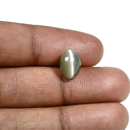 Quartz Cat's Eye (Lehsunia) Carat 4.65