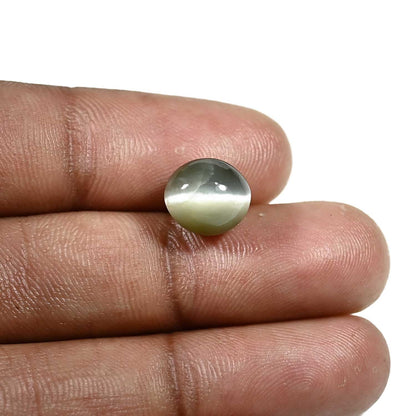 Quartz Cat's Eye (Lehsunia) Carat 5.6