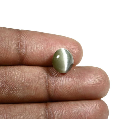 Quartz Cat's Eye (Lehsunia) Carat 5.6