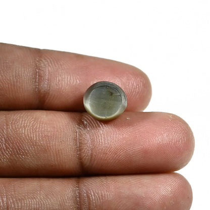 Quartz Cat's Eye (Lehsunia) Carat 5.6