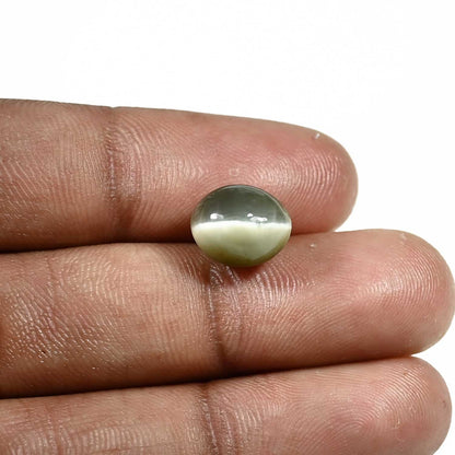 Quartz Cat's Eye (Lehsunia) Carat 5.79