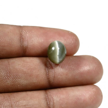 Quartz Cat's Eye (Lehsunia) Carat 5.79