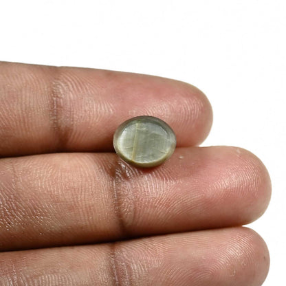 Quartz Cat's Eye (Lehsunia) Carat 5.79