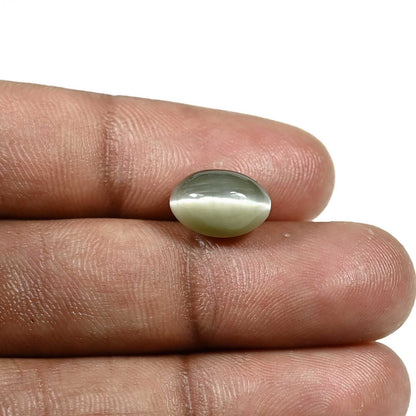 Quartz Cat's Eye (Lehsunia) Carat 4.8