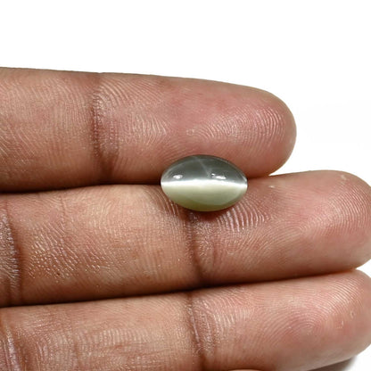 Quartz Cat's Eye (Lehsunia) Carat 4.25