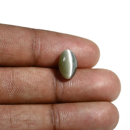 Quartz Cat's Eye (Lehsunia) Carat 4.25