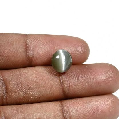 Quartz Cat's Eye (Lehsunia) Carat 5.54
