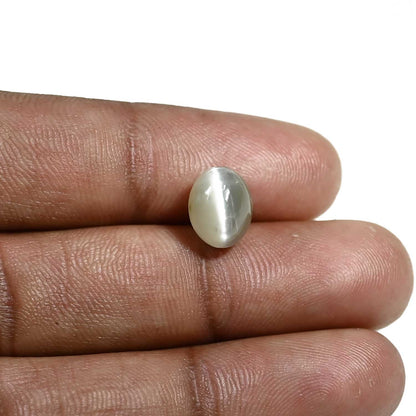Quartz Cat's Eye (Lehsunia) Carat 4.35