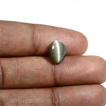 Quartz Cat's Eye (Lehsunia) Carat 4.09