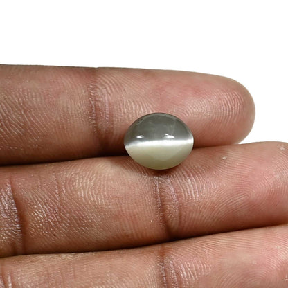 Quartz Cat's Eye (Lehsunia) Carat 6.08