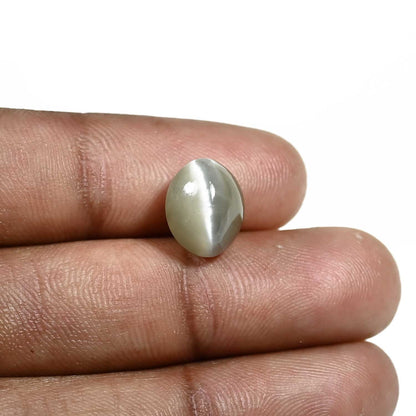 Quartz Cat's Eye (Lehsunia) Carat 6.08