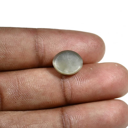 Quartz Cat's Eye (Lehsunia) Carat 6.08