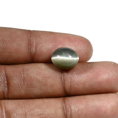 Quartz Cat's Eye (Lehsunia) Carat 6.85
