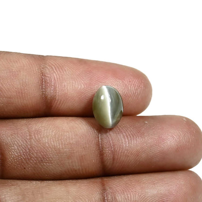 Quartz Cat's Eye (Lehsunia) Carat 4.23