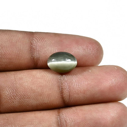 Quartz Cat's Eye (Lehsunia) Carat 4.18
