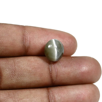 Quartz Cat's Eye (Lehsunia) Carat 6.84