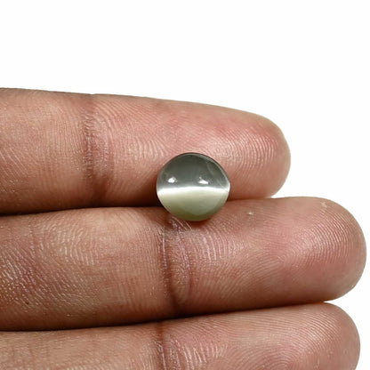 Quartz Cat's Eye (Lehsunia) Carat 4.42
