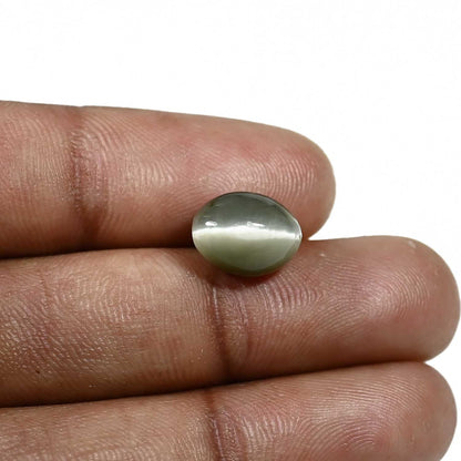 Quartz Cat's Eye (Lehsunia) Carat 5.13