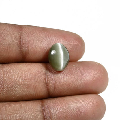 Quartz Cat's Eye (Lehsunia) Carat 5.13